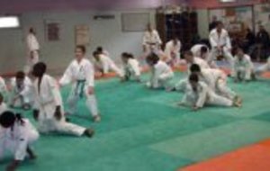 Stage Judo pour bien  débuter l'Année 2008
