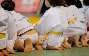 Eveil judo (4-5 ans)